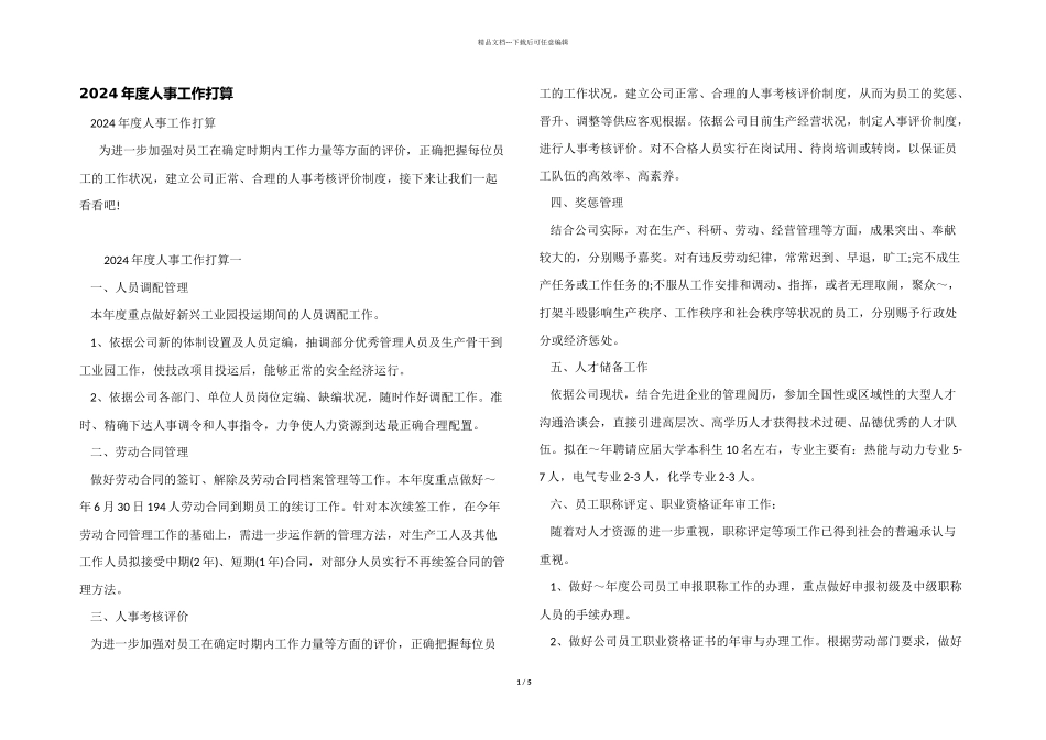 2024年度人事工作计划_第1页