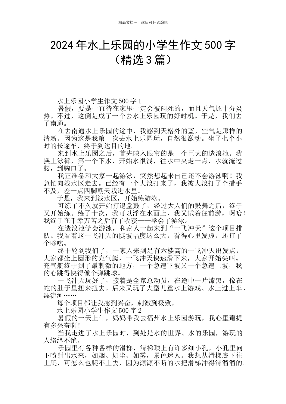 2024年水上乐园的小学生作文500字_第1页