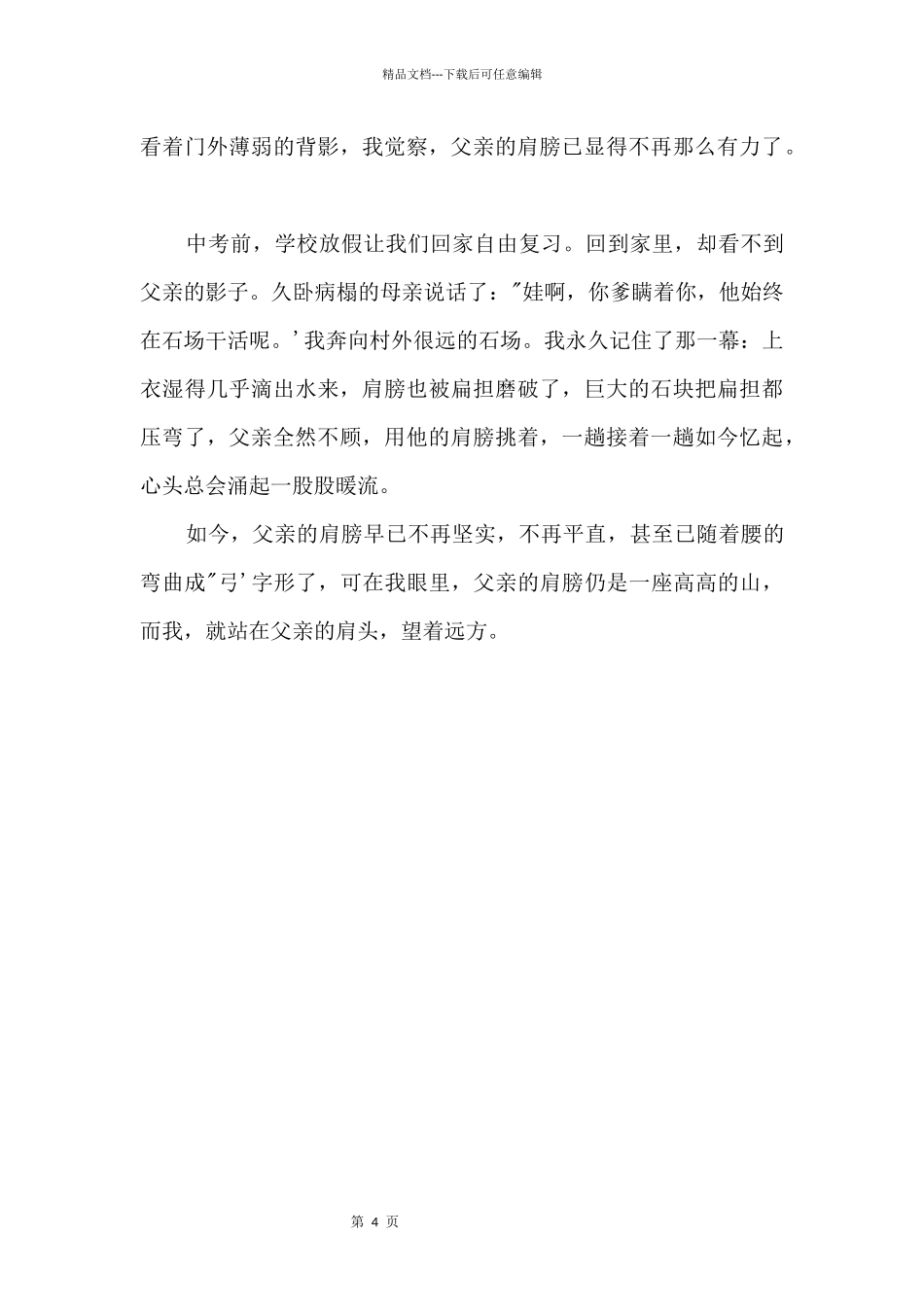 2024年潮州中考满分：父亲——最美的山_第2页