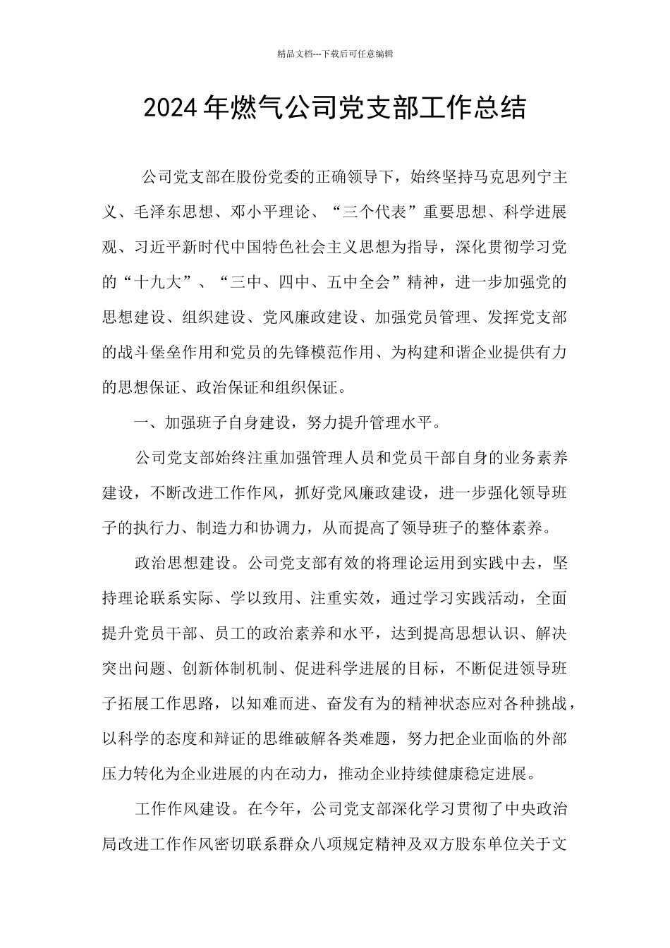 2024年燃气公司党支部工作总结_第1页