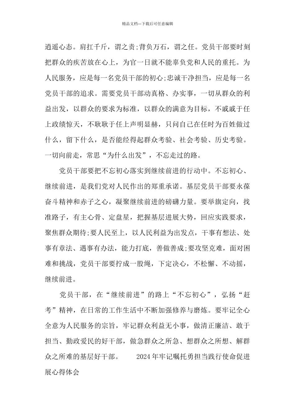 2024年牢记嘱托勇担当践行使命促发展心得体会_第3页