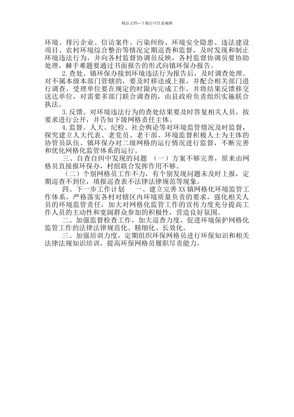 2024年环境保护网格化监管工作总结_第2页