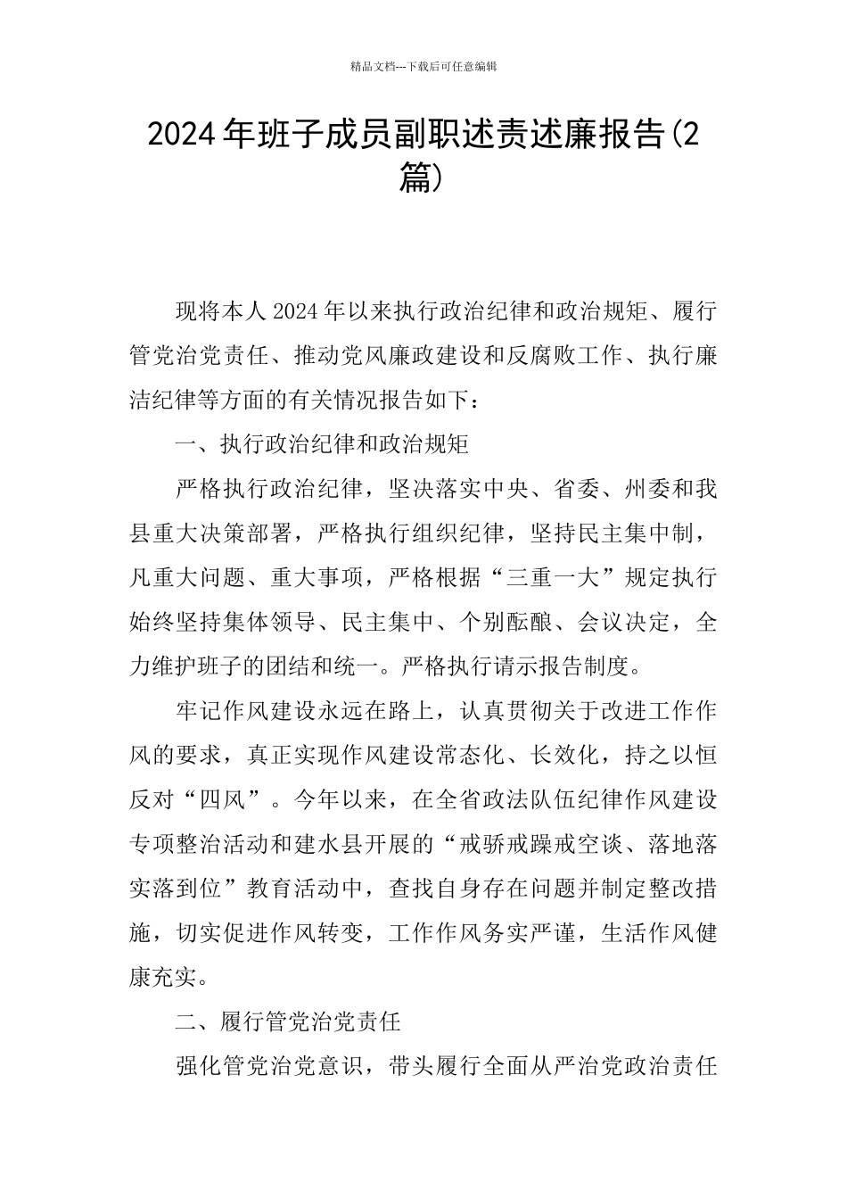 2024年班子成员副职述责述廉报告_第1页