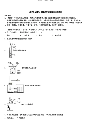 2024年甘肃省兰州市外国语校中考四模化学试题含解析
