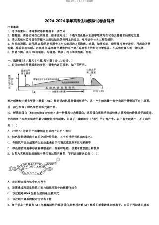 2024年甘肃省徽县第三中学高考冲刺模拟生物试题含解析