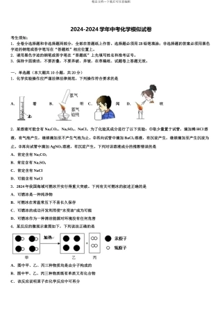 2024年甘肃省武威市凉州区洪祥镇中考化学五模试卷含解析
