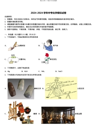 2024年甘肃省武威市民勤实验中学中考化学考前最后一卷含解析