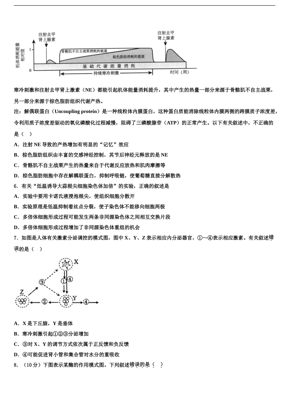 2024年甘肃省河西五市普通高中高三第一次调研测试生物试卷含解析_第2页
