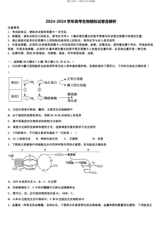 2024年甘肃省酒泉市酒泉中学高考冲刺押题生物试卷含解析