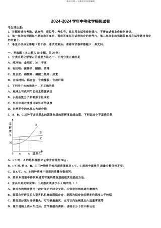 2024年甘肃省金昌市永昌市第五中学中考化学最后一模试卷含解析