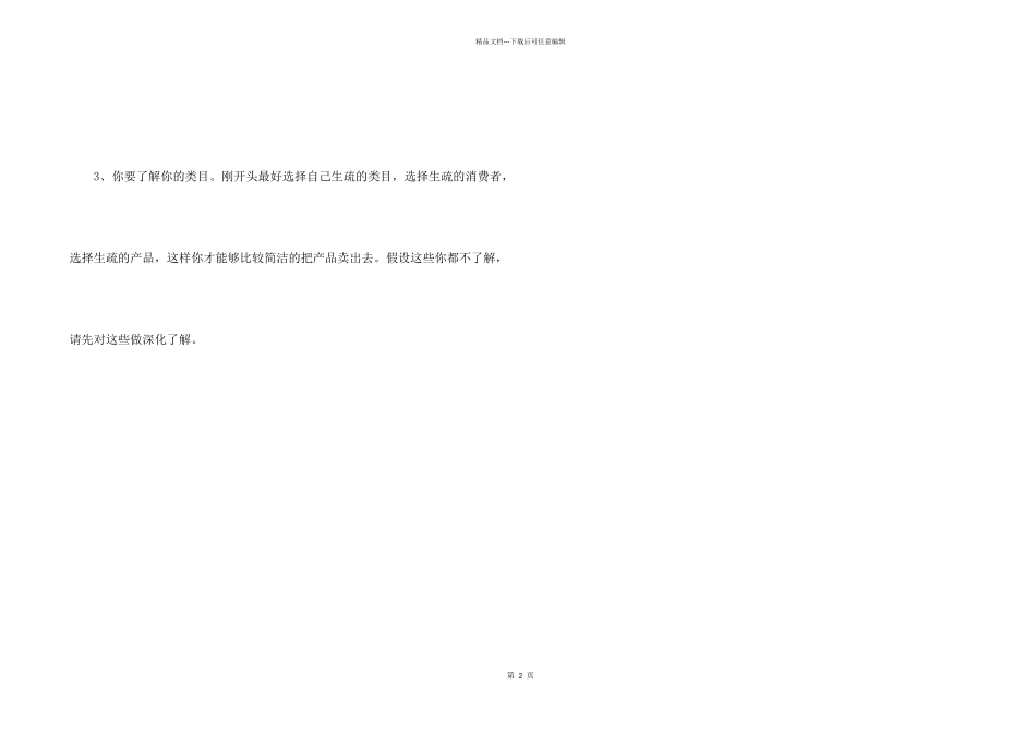 2024年电商工作计划_第2页