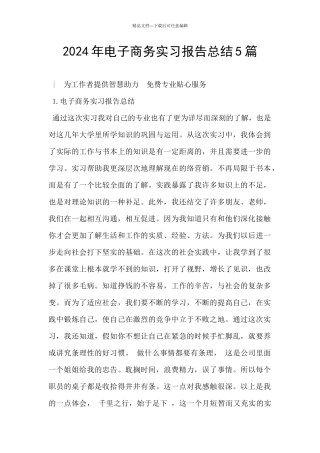2024年电子商务实习报告总结5篇