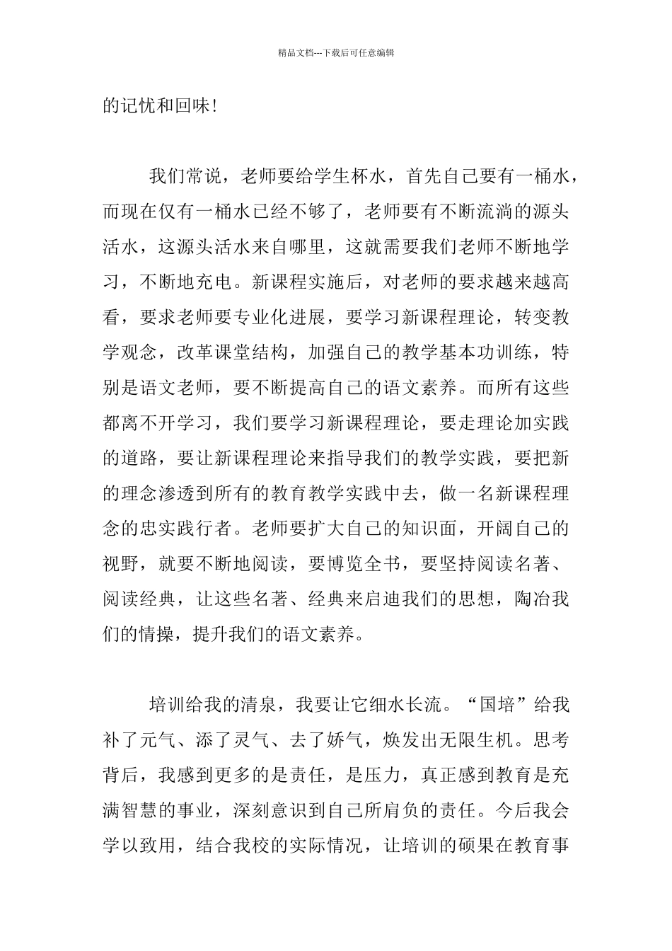 2024年登封市语文骨干教师培训心得体会_第3页