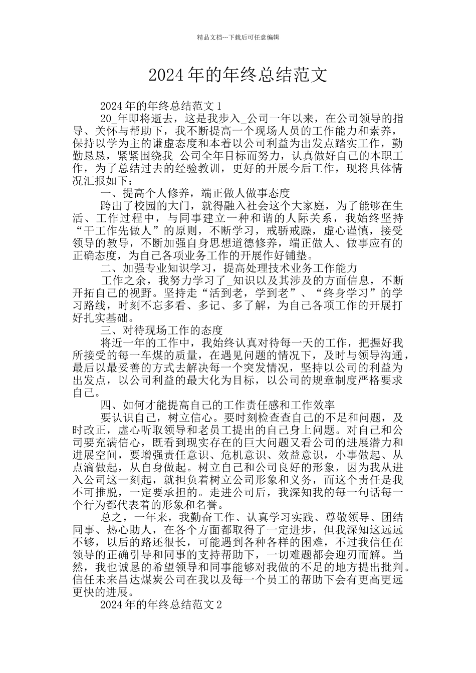 2024年的年终总结范文_第1页