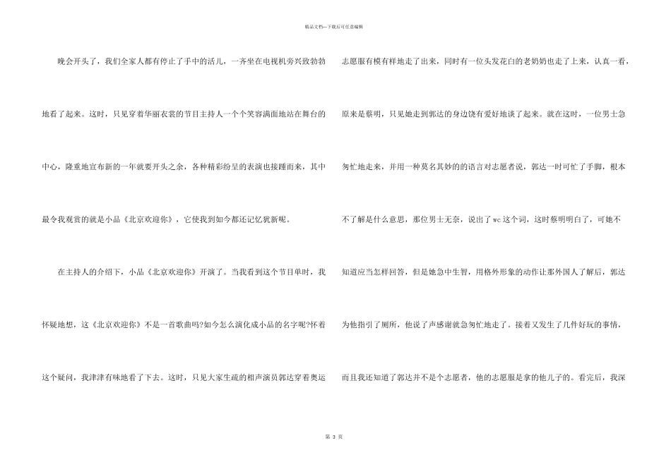 2024年的春节联欢晚会的_第3页