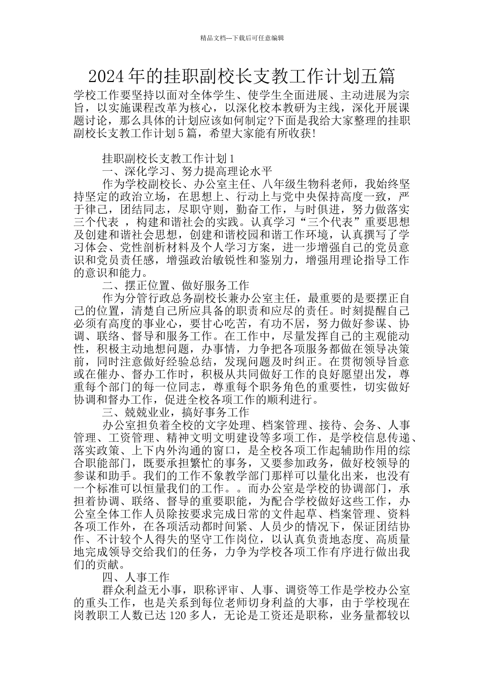 2024年的挂职副校长支教工作计划五篇_第1页