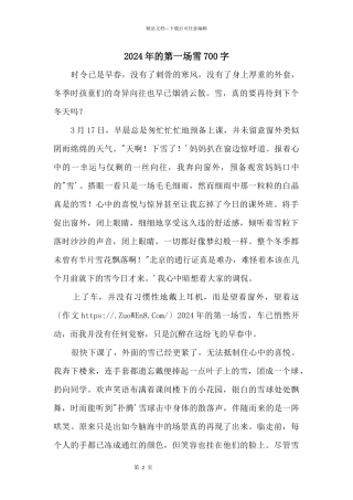 2024年的第一场雪700字