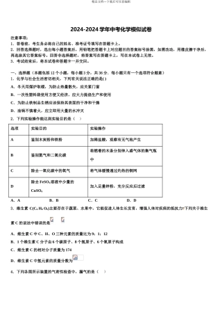 2024年福建省光泽县中考化学仿真试卷含解析