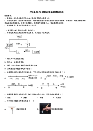 2024年福建省厦门五中学初中化学毕业考试模拟冲刺卷含解析