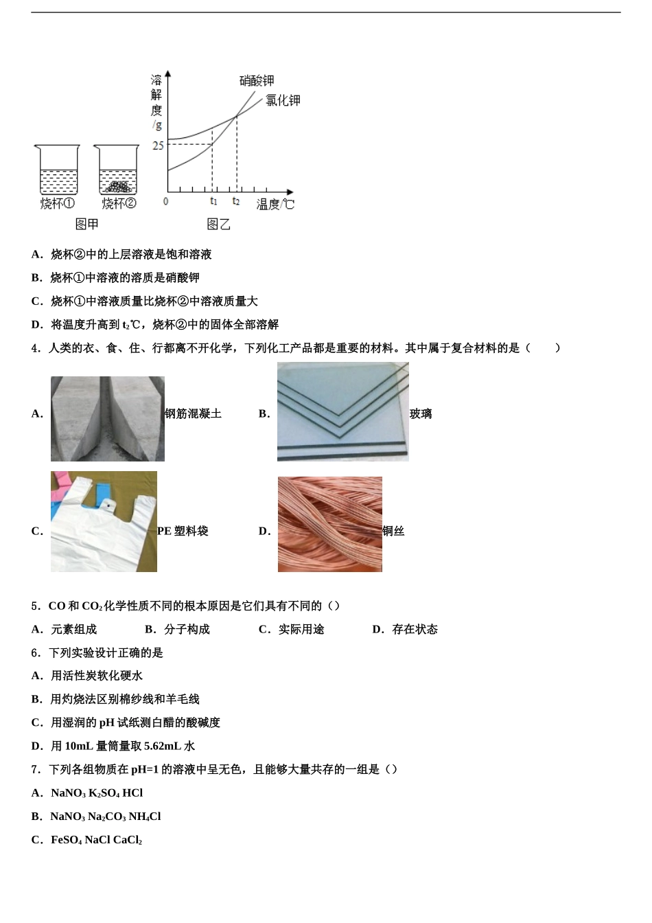 2024年福建省厦门市厦门外国语校中考化学考试模拟冲刺卷含解析_第2页