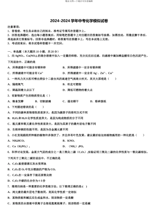 2024年福建省福州市第十九中学中考化学适应性模拟试题含解析