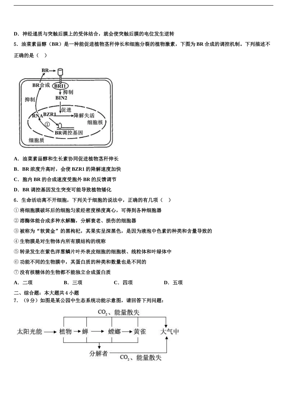 2024年福建省龙岩市一级达标学校高三下学期第五次调研考试生物试题含解析_第2页