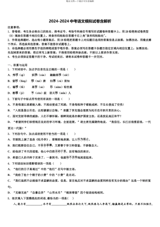 2024年福建省龙岩一中学分校中考语文模试卷含解析