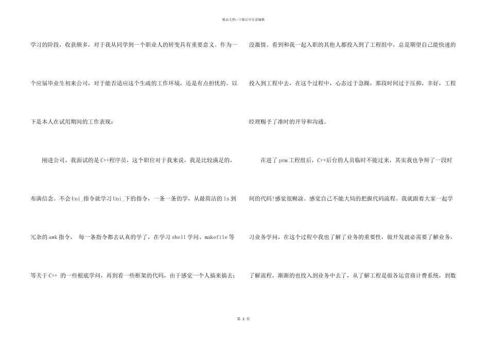 2024年程序员转正申请书_第3页