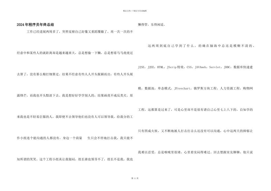 2024年程序员年终总结_第1页