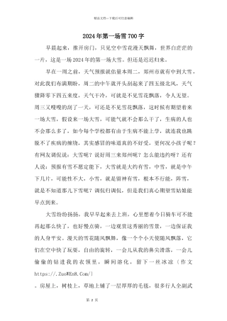 2024年第一场雪700字