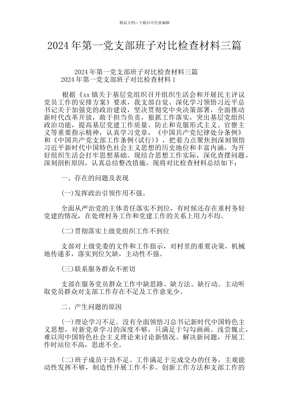 2024年第一党支部班子对照检查材料三篇_第1页