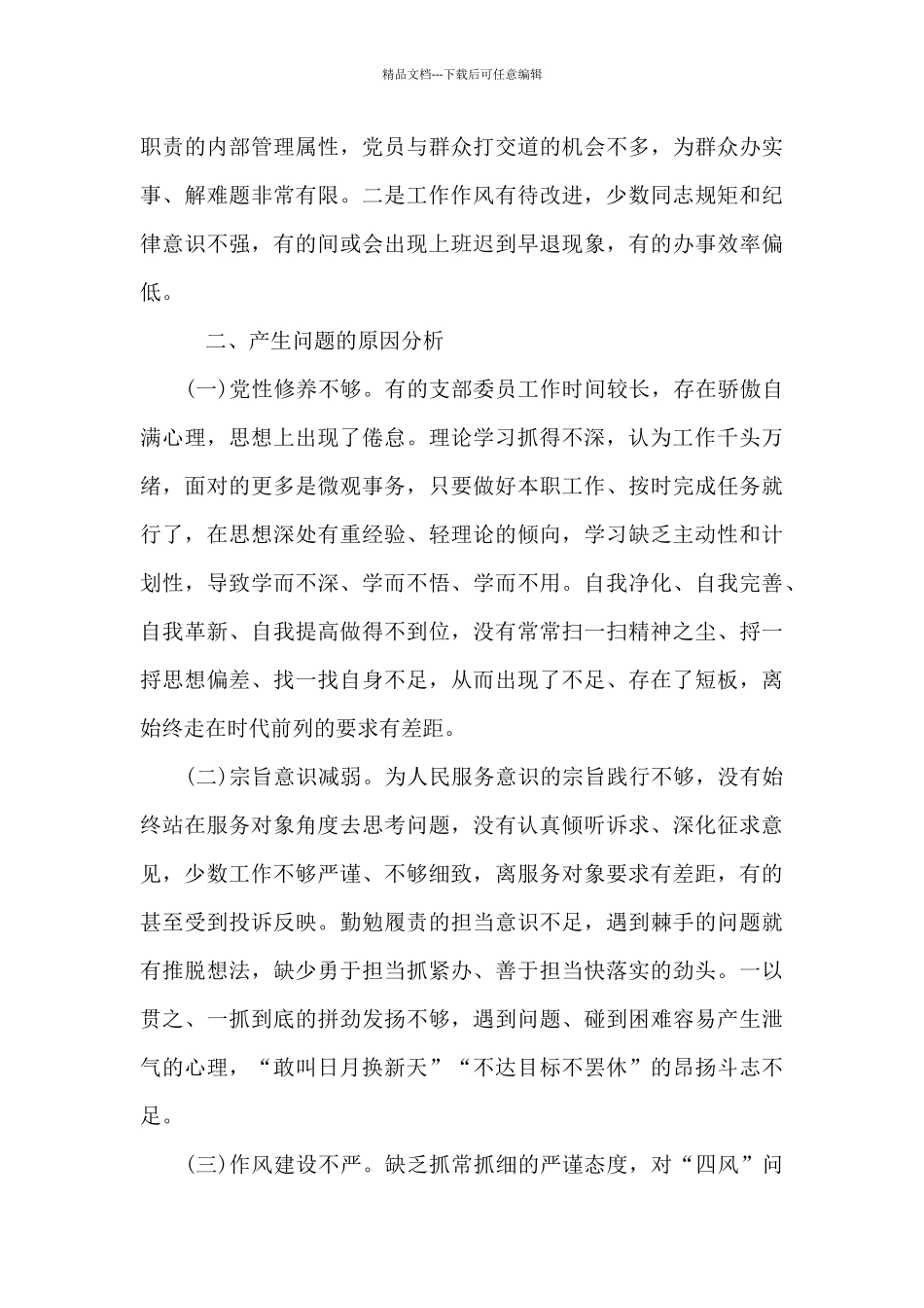 2024年组织生活班子对照检查材料_第3页