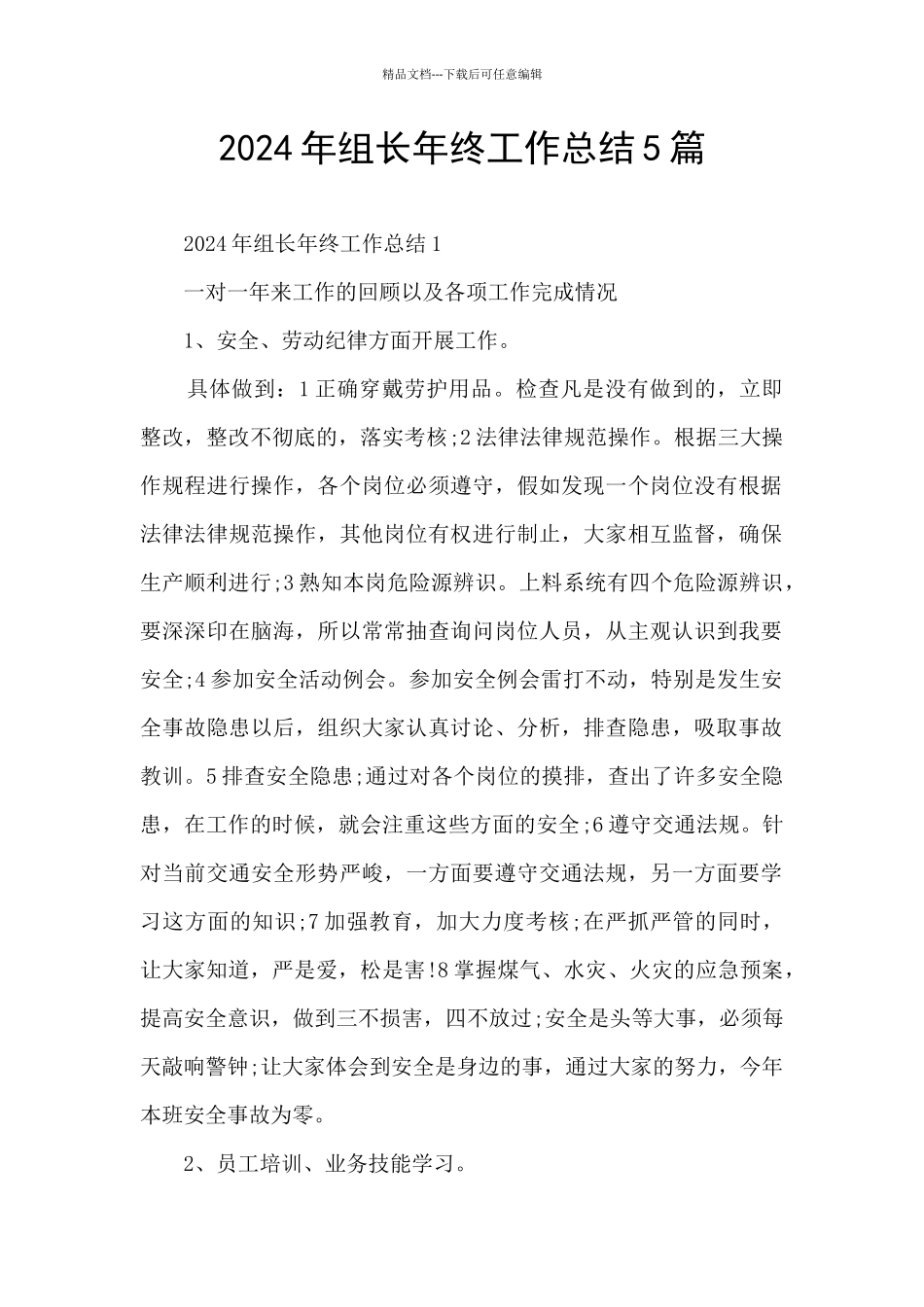 2024年组长年终工作总结5篇_第1页