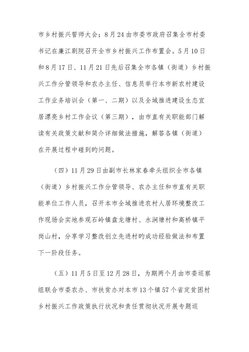 2025年廉江市加快推进乡村振兴专题调研汇报_第3页