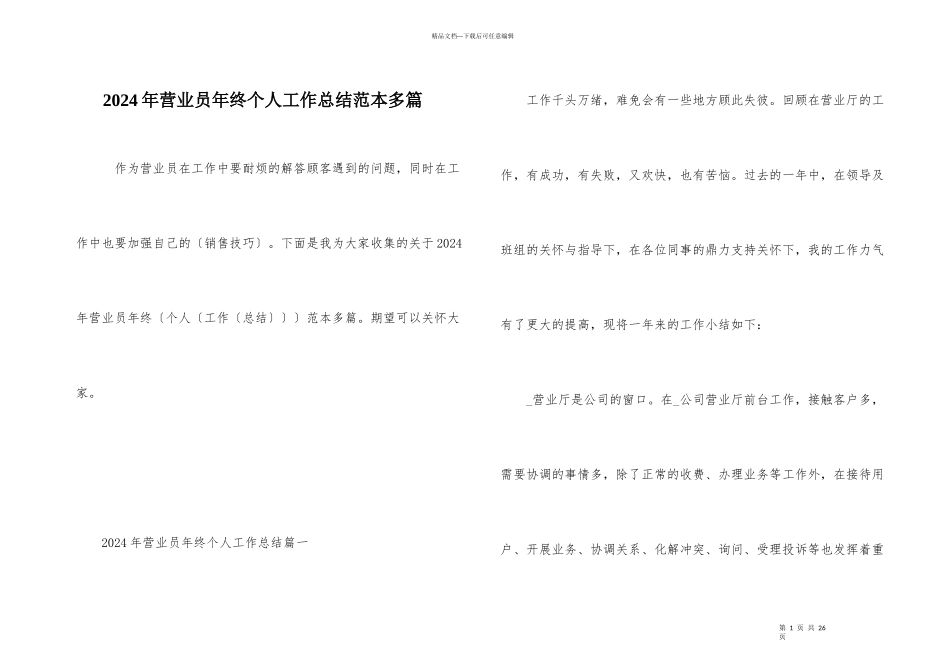 2024年营业员年终个人工作总结范本多篇_第1页