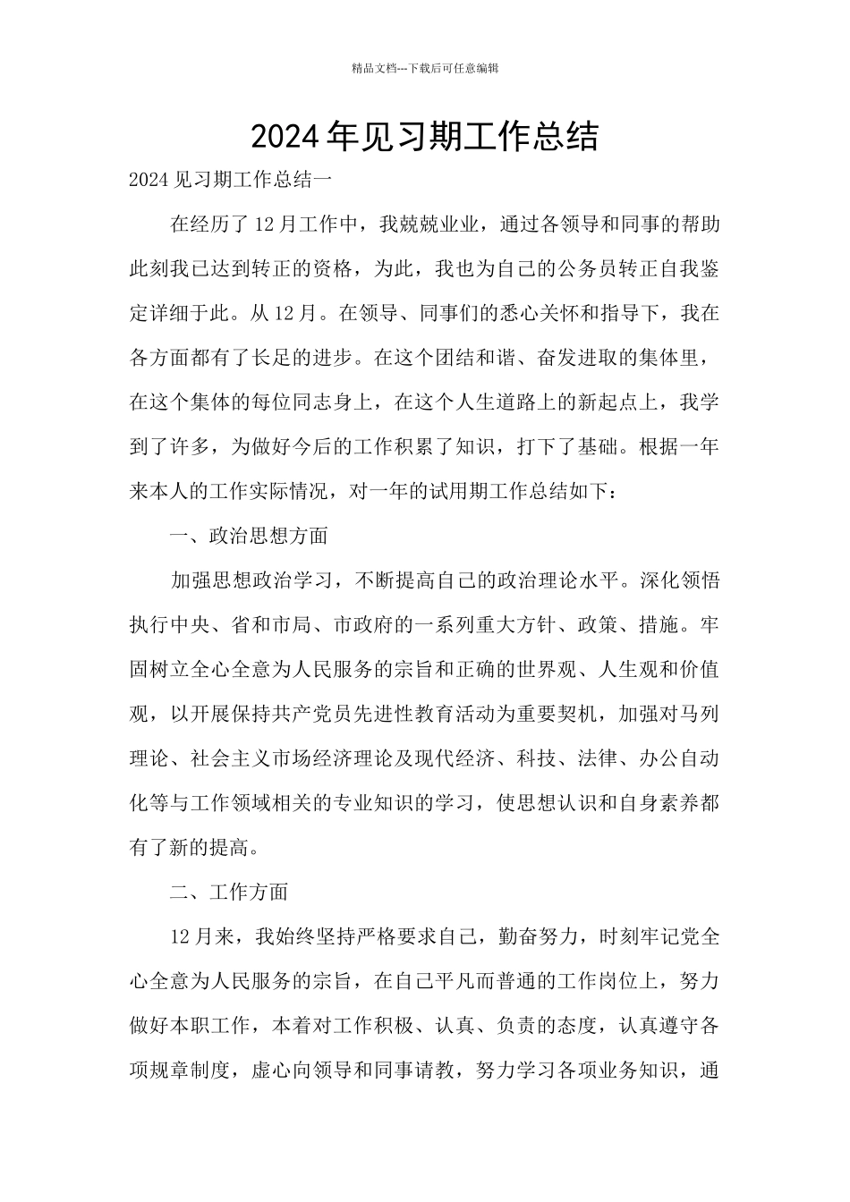 2024年见习期工作总结_第1页