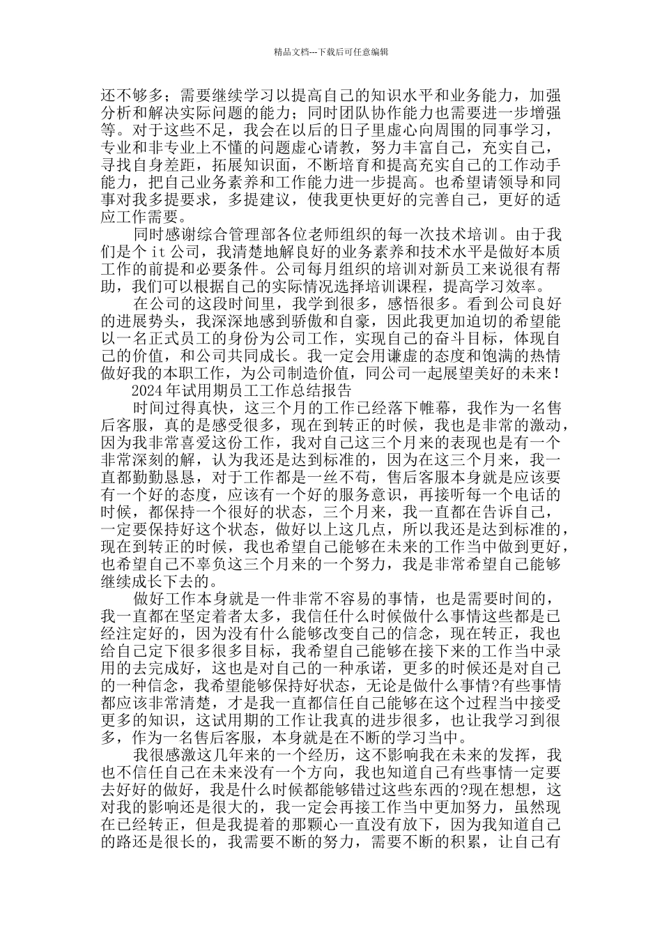 2024年试用期员工工作总结报告_第2页