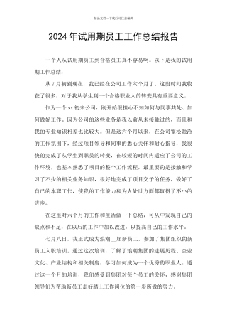 2024年试用期员工工作总结报告