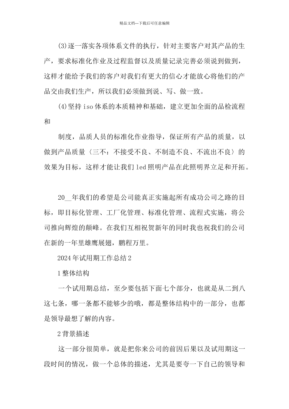 2024年试用期工作总结5篇_第3页