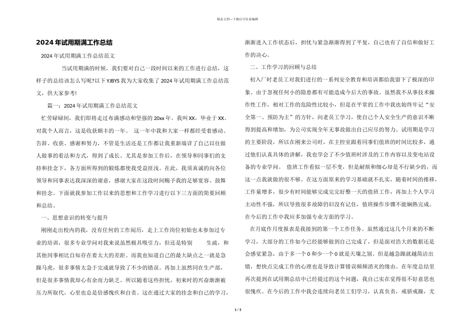 2024年试用期满工作总结_第1页