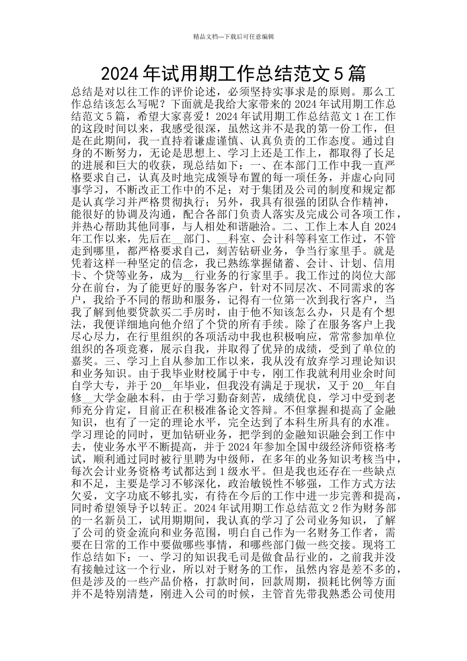2024年试用期工作总结范文5篇_第1页