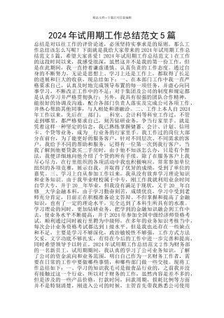 2024年试用期工作总结范文5篇