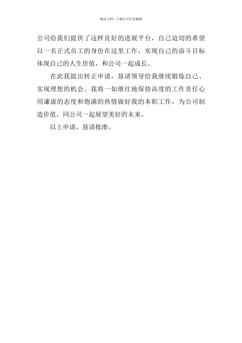 2024年试用期转正工作总结范文_第2页