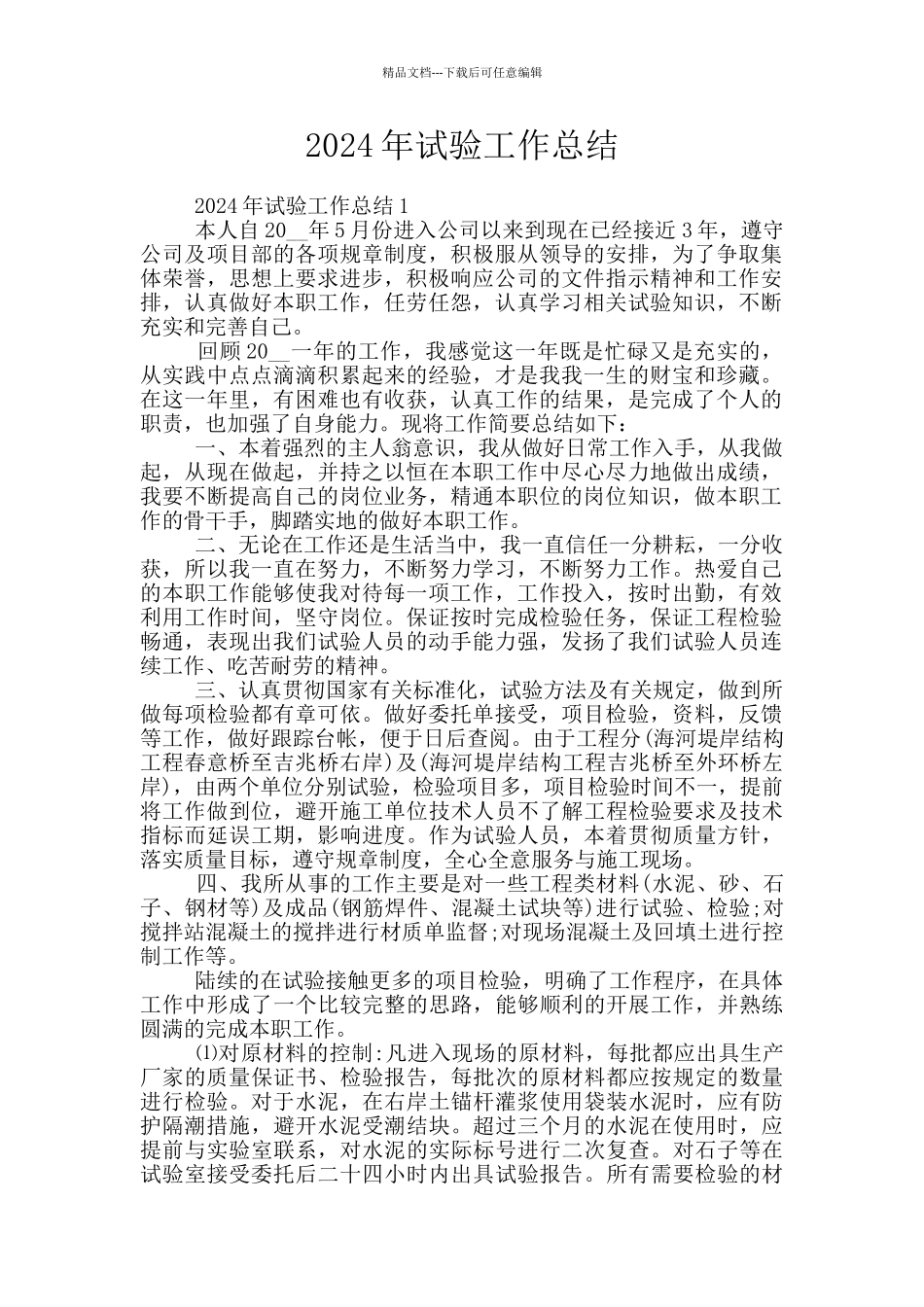 2024年试验工作总结_第1页