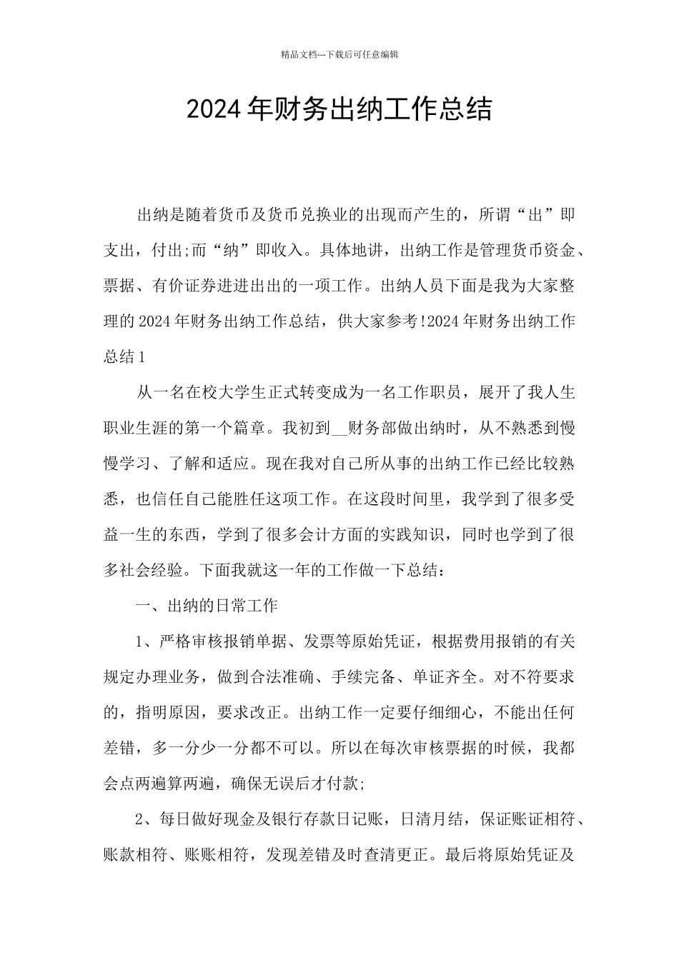 2024年财务出纳工作总结_第1页