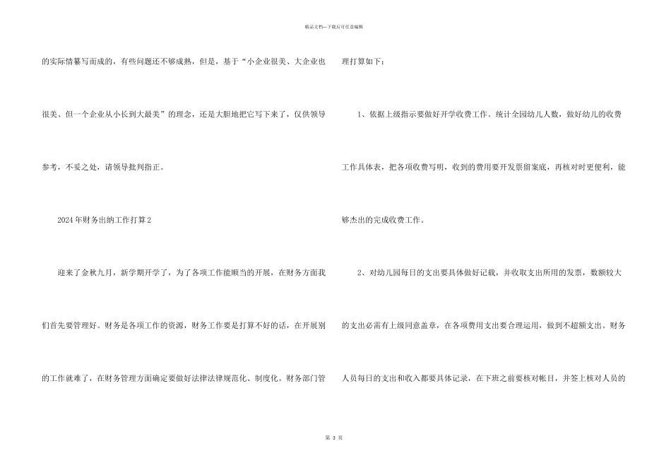 2024年财务出纳工作计划_第3页