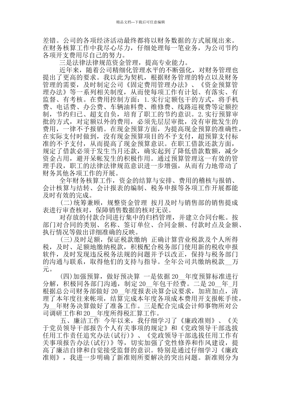 2024年财务年度工作总结报告_第2页