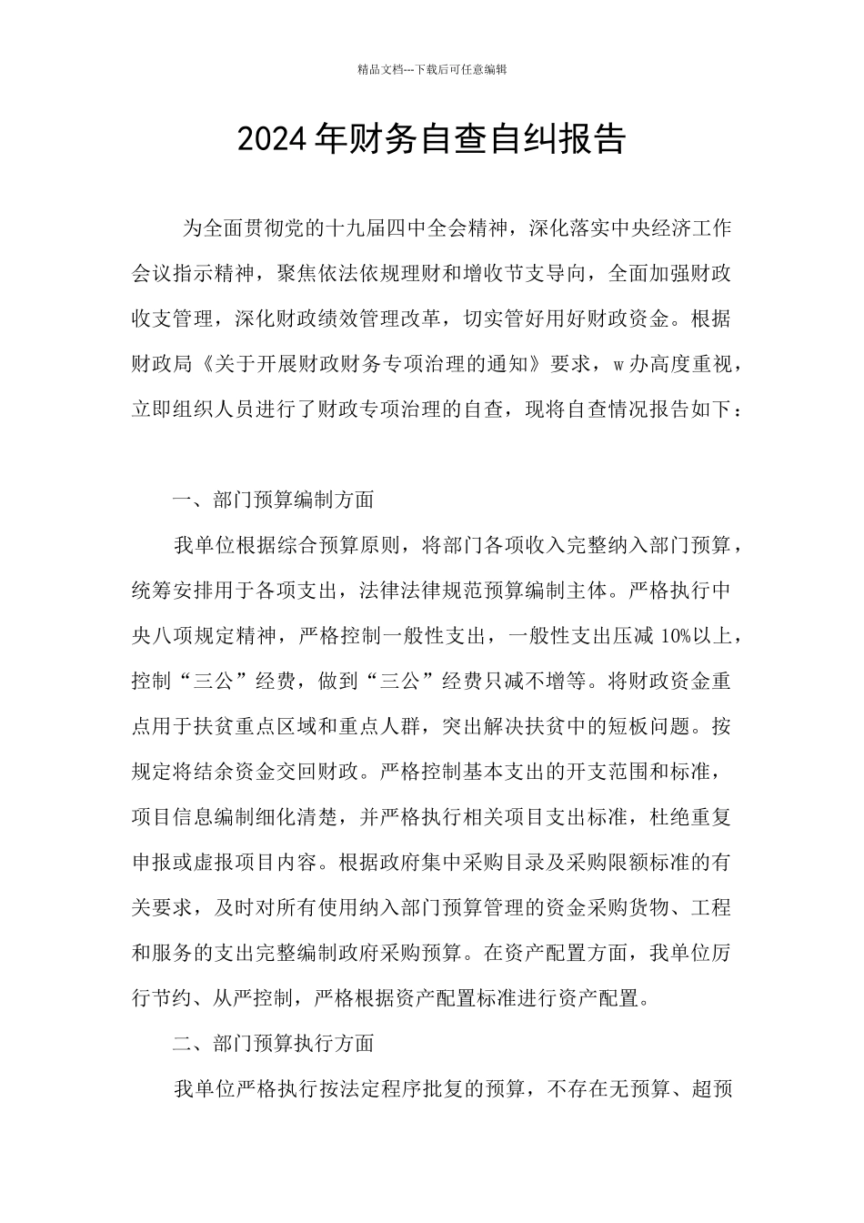 2024年财务自查自纠报告_第1页