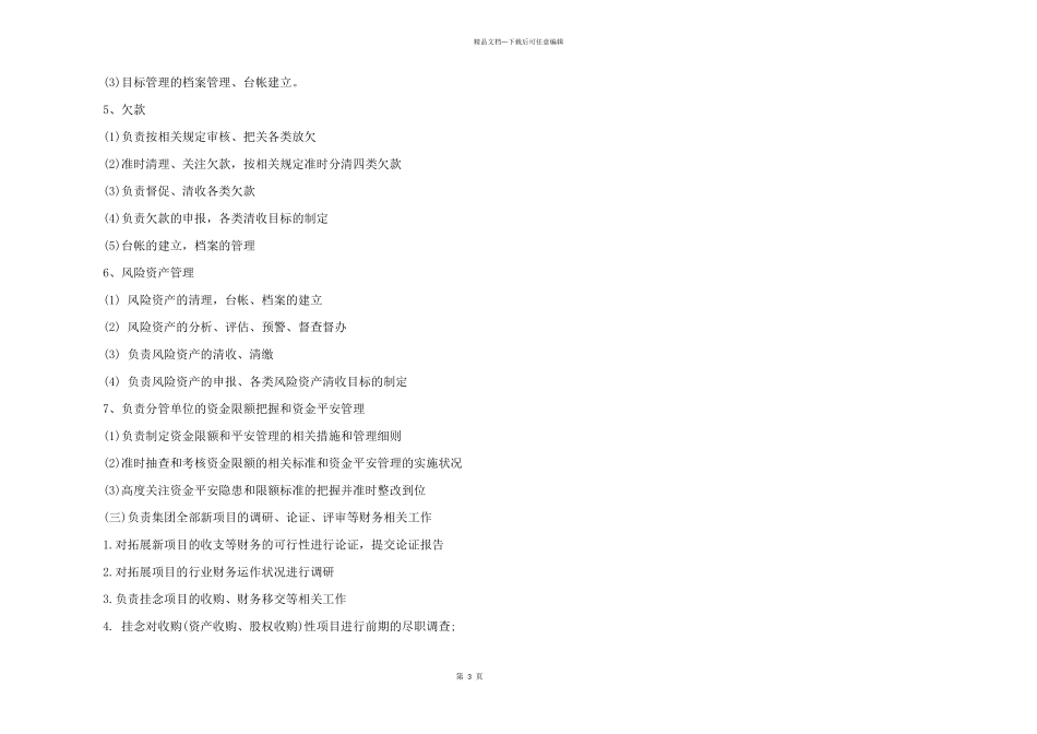 2024年财务部副总经理岗位职责_第3页