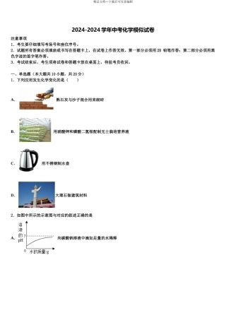 2024年辽宁省东港市中考化学对点突破模拟试卷含解析